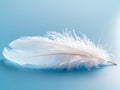Single White Feather on Blue Background, Symbolizing Purity, Lightness and Gentleness. Royalty Free Stock Photo