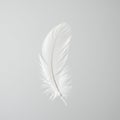 A single white feather with a delicate, elongated shape is centered against a light gray Royalty Free Stock Photo