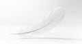 A single white feather is elegantly positioned against a minimalist white background. Its delicate Royalty Free Stock Photo