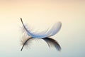 Single white feather floating on light background with reflection delicate soft airy Royalty Free Stock Photo