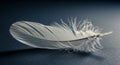 Single white feather lying on a dark textured surface with soft lighting bird down Royalty Free Stock Photo