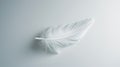 Single white feather lying on a smooth surface with a soft shadow Royalty Free Stock Photo