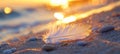 White feather lying on the beach during sunset time with bokeh effect Royalty Free Stock Photo