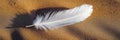 Single White Feather Resting on Warm Sand, a Symbol of Peace and Purity in Nature s Embrace Royalty Free Stock Photo