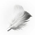 A single white feather rests against a light background, casting a subtle shadow. The Royalty Free Stock Photo