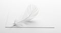 A single white feather rests delicately on a white surface, casting a subtle shadow. The feather\'s Royalty Free Stock Photo
