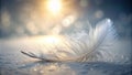 A single white feather rests gently on a soft surface, bathed in the warm glow of a setting sun. Generative AI Royalty Free Stock Photo