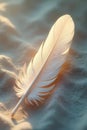 A single white feather rests gently on a soft, textured surface, bathed in the warm glow of sunlight, creating a serene and Royalty Free Stock Photo