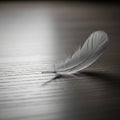 A single white feather rests on a smooth, wooden surface, creating a contrast with th Royalty Free Stock Photo