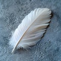 single white feather on textured blue surface Royalty Free Stock Photo