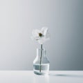 A single white flower in a glass vase. AI generative image.