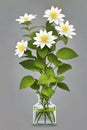 Single white flowers in a small vase