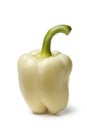 Single white fresh bell pepper Royalty Free Stock Photo