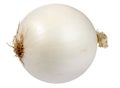Single a white fresh onion Royalty Free Stock Photo