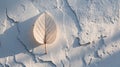 A single white leaf placed against a textured white surface. Generative AI Royalty Free Stock Photo