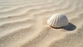 A single white seashell rests on rippled sand near the ocean. Gentle waves leave subtle patterns on the beach. Sunlight sparkles Royalty Free Stock Photo