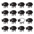 Single white sheep in black sheep group. Royalty Free Stock Photo