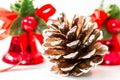 Single White Tipped Pine cone with Shiny Red Bells Royalty Free Stock Photo