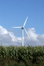 Single white wind turbine in corn field standing high Royalty Free Stock Photo