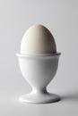 Single whole boiled white egg