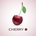 Single whole cherry berries with stem and leaf. Royalty Free Stock Photo