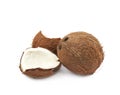 Single whole coconut isolated Royalty Free Stock Photo