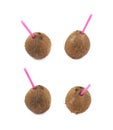 Single whole coconut isolated Royalty Free Stock Photo