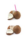 Single whole coconut isolated Royalty Free Stock Photo