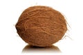 Single whole coconut isolated on white background Royalty Free Stock Photo