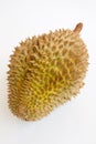 Single whole durian on white background Royalty Free Stock Photo