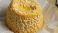 French Langres AOP Chalanceycheese close up