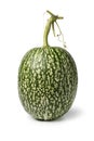 Single whole fresh Cucurbita ficifolia, Boule de Siam pumpkin, isolated on white background