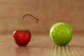 Single whole fresh green Can Erik plum and cherry close up isolated on dark background Royalty Free Stock Photo