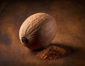 Single Whole Nutmeg Seed with Attached Mace Aril on Rustic Wooden Surface Royalty Free Stock Photo