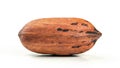 Single whole pecan Carya illinoinensis nut isolated on white background Royalty Free Stock Photo