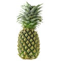 Single whole pineapple isolated on a white background Royalty Free Stock Photo