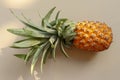 Single whole pineapple tropical fruit or ananas isolated on white background. Whole ananas with leaves. Yellow orange ripe fresh Royalty Free Stock Photo