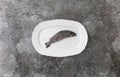 Single whole rainbow trout on a white service plate on a grey marble table