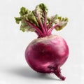 Single Whole Red Beet Root with Fresh Green Leaves Isolated on White Background Royalty Free Stock Photo