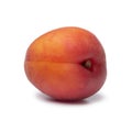 Single whole red velvet apricot close up