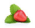 Single whole strawberry with leaf isolated