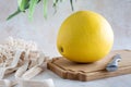 A single whole yellow pomelo on a wooden cutting board with mesh bag on a neutral background, horizontal with copy space