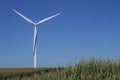 Single Wind Turbine in Corn Field Royalty Free Stock Photo