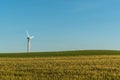 Single Wind Turbine on a Meadow Against Blue Sky with Blurred Corn Field in Foreground Royalty Free Stock Photo