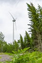 Single Wind Turbine in the middle of the green forest under blue sky with clouds. Windfarm, wind power plant Royalty Free Stock Photo