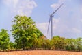 A single windmill on a kumquat farm with blue sky and green surroundings.