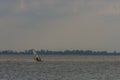 Single windsurfer at the lake Royalty Free Stock Photo