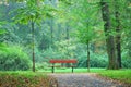 Single wooden bench in a forest park Royalty Free Stock Photo