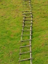 Single Wooden Handmade Fixed Ladder on Grass Ground