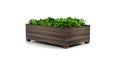 Wooden Raised Garden Beds with green plants 3D Rendering